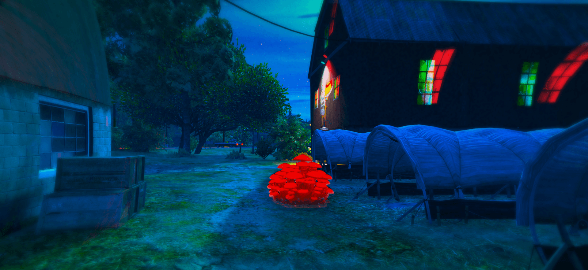 Interactive Magic Mushrooms